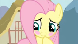 Size: 1280x720 | Tagged: safe, screencap, fluttershy, pegasus, pony, keep calm and flutter on, blushing, cute, female, mare, solo