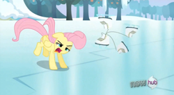 Size: 852x466 | Tagged: safe, screencap, fluttershy, pegasus, pony, keep calm and flutter on, faic, hub logo, ice skating