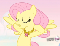 Size: 1052x800 | Tagged: safe, screencap, fluttershy, pegasus, pony, keep calm and flutter on, element of kindness, hub logo, solo