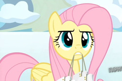 Size: 1208x803 | Tagged: safe, screencap, fluttershy, pegasus, pony, keep calm and flutter on, frustrated, hub logo, ice skates, solo, upset