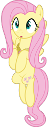 Size: 3000x7817 | Tagged: safe, artist:fehlung, fluttershy, pegasus, pony, keep calm and flutter on, absurd resolution, element of kindness, simple background, transparent background, vector