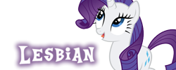 Size: 500x200 | Tagged: safe, rarity, pony, unicorn, female, horn, lesbian, mare, meta, solo