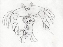 Size: 1024x765 | Tagged: safe, artist:hushnowquietnow, rarity, crab, pony, unicorn, fight, rarity fighting a giant crab