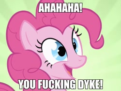 Size: 650x487 | Tagged: safe, pinkie pie, earth pony, pony, female, image macro, mare, pink coat, pink mane, solo, vulgar