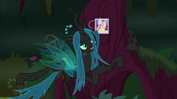 Size: 1280x720 | Tagged: safe, screencap, fluttershy, queen chrysalis, changeling, changeling queen, pegasus, pony, the mean 6, female, hair, photo, picture, polaroid, solo, tree