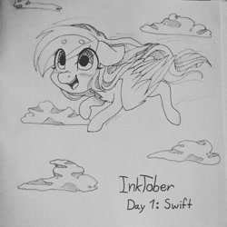 Size: 1024x1024 | Tagged: safe, artist:shiromidorii, derpibooru import, rainbow dash, pegasus, pony, chibi, flying, monochrome, solo, traditional art