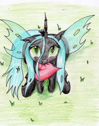 Size: 2091x2650 | Tagged: safe, artist:40kponyguy, derpibooru exclusive, queen chrysalis, changeling, changeling queen, cheeselegs, cute, cutealis, floppy ears, grass, heart, looking at you, looking up, mouth hold, solo, spread wings, traditional art, wings