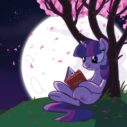 Size: 1000x1000 | Tagged: safe, artist:professor-ponyarity, derpibooru import, twilight sparkle, book, moon, reading, solo