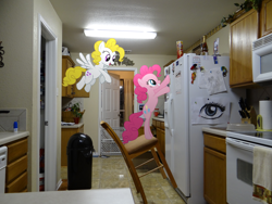 Size: 4896x3672 | Tagged: safe, artist:emedina13, pinkie pie, surprise, earth pony, pegasus, pony, g1, chair, door, g1 to g4, generation leap, kitchen, ponies in real life, pringles, refrigerator, trash can, vector
