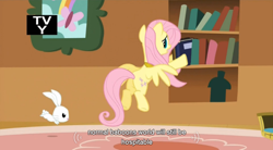 Size: 766x424 | Tagged: safe, screencap, angel bunny, fluttershy, pegasus, pony, keep calm and flutter on, book, tv rating, youtube caption