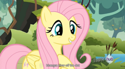 Size: 764x424 | Tagged: safe, screencap, fluttershy, pegasus, pony, keep calm and flutter on, hub logo, youtube caption