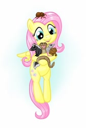 Size: 743x1098 | Tagged: safe, artist:greentriceratops, fluttershy, frog, pegasus, pony, rat, skunk, snake, tarantula, rattlesnake