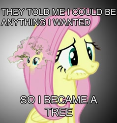 Size: 543x571 | Tagged: safe, fluttershy, pegasus, pony, female, fluttertree, mare, meme, tree