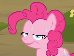 Size: 500x380 | Tagged: safe, screencap, pinkie pie, earth pony, pony, female, mare, out of context, pink coat, pink mane, sweat