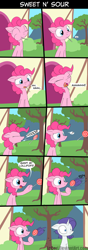 Size: 1600x4520 | Tagged: safe, artist:loceri, pinkie pie, rarity, earth pony, pony, unicorn, comic, hair pulling, slice of life, sneezing, this will end in tears