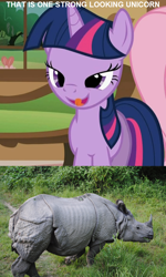 Size: 700x1168 | Tagged: safe, derpibooru import, edit, edited screencap, screencap, twilight sparkle, unicorn twilight, pony, rhinoceros, unicorn, bedroom eyes, female, image macro, mare