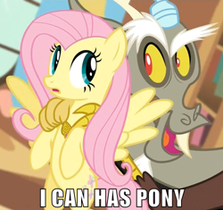 Size: 500x469 | Tagged: safe, discord, fluttershy, draconequus, pegasus, pony, keep calm and flutter on, female, image macro, male, mare