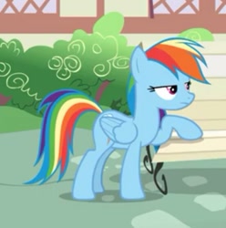 Size: 553x557 | Tagged: safe, derpibooru import, screencap, rainbow dash, pegasus, pony, daring done?, cropped, female, solo, wings