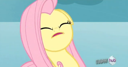 Size: 500x264 | Tagged: safe, screencap, fluttershy, pegasus, pony, female, mare, pink mane, yellow coat