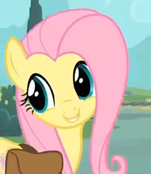 Size: 282x325 | Tagged: safe, screencap, fluttershy, pegasus, pony, just for sidekicks, cute, smiling