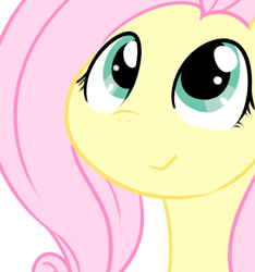 Size: 478x511 | Tagged: safe, artist:doro doneru, fluttershy, pegasus, pony, bust, cute, pixiv, portrait, shyabetes, simple background, solo