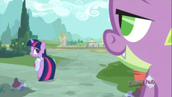 Size: 1366x768 | Tagged: safe, derpibooru import, screencap, spike, twilight sparkle, dragon, unicorn, just for sidekicks, female, male