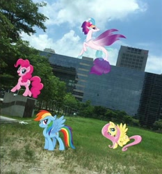 Size: 536x576 | Tagged: safe, derpibooru import, fluttershy, pinkie pie, queen novo, rainbow dash, seapony (g4), my little pony: the movie, irl, photo, ponies in real life, taichung, taiwan