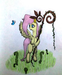 Size: 500x606 | Tagged: safe, artist:raonddooggung, fluttershy, pegasus, pony, female, mare, pink mane, traditional art, yellow coat