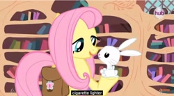 Size: 852x469 | Tagged: safe, screencap, angel bunny, fluttershy, pegasus, pony, just for sidekicks, lighter, youtube caption