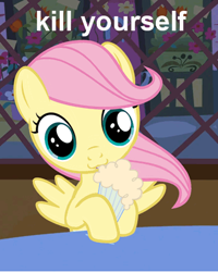 Size: 347x434 | Tagged: safe, fluttershy, pegasus, pony, caption, female, filly, food, kill yourself, looking at you, muffin