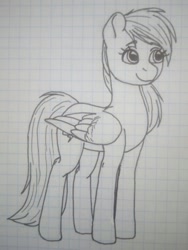 Size: 542x720 | Tagged: safe, artist:deltahedgehog, derpibooru exclusive, derpibooru import, rainbow dash, pegasus, pony, cute, female, graph paper, mare, smiling, solo, traditional art