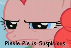 Size: 516x348 | Tagged: safe, pinkie pie, earth pony, pony, comic sans, female, image macro, mare, pink coat, pink mane, suspicious