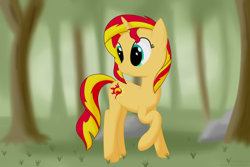 Size: 3000x2000 | Tagged: safe, artist:joey, sunset shimmer, pony, unicorn, forest, solo