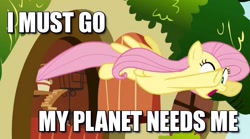 Size: 597x331 | Tagged: safe, edit, edited screencap, screencap, fluttershy, pegasus, pony, putting your hoof down, i must go, image macro, solo