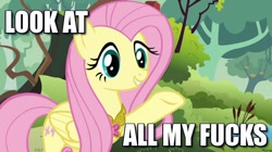 Size: 598x335 | Tagged: safe, fluttershy, pegasus, pony, keep calm and flutter on, image macro, look at all the fucks i give, no fucks, vulgar