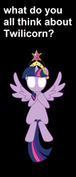 Size: 900x2104 | Tagged: safe, derpibooru import, twilight sparkle, twilight sparkle (alicorn), alicorn, askderpibooru, meta, text