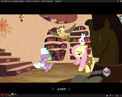 Size: 1280x1024 | Tagged: safe, screencap, angel bunny, fluttershy, owlowiscious, spike, dragon, pegasus, pony, bedroom eyes, hub logo, saddle bag, youtube caption