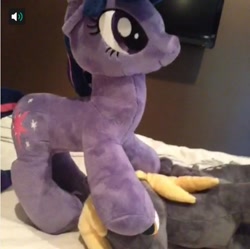 Size: 601x598 | Tagged: artist needed, safe, derpy hooves, twilight sparkle, pegasus, pony, female, irl, mare, photo, plushie