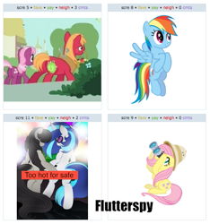 Size: 537x573 | Tagged: safe, big macintosh, cheerilee, fluttershy, earth pony, pegasus, pony, exploitable meme, flutterspy, juxtaposition, juxtaposition win, male, stallion