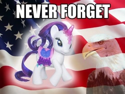 Size: 640x480 | Tagged: safe, rarity, bald eagle, bird, eagle, pony, unicorn, brushable, crying, flag, never forget, patriotic, toy, united states