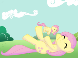 Size: 2592x1936 | Tagged: safe, artist:zoeezoee, fluttershy, pegasus, pony, female, mare, pink mane, plushie, yellow coat