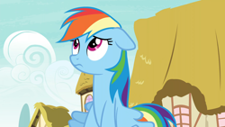 Size: 1920x1080 | Tagged: safe, derpibooru import, screencap, rainbow dash, pegasus, pony, secrets and pies, ponyville, solo