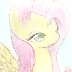 Size: 1000x1000 | Tagged: safe, artist:dshou, fluttershy, pegasus, pony, bust, colored pupils, female, mare, sketch, solo, spread wings, wings