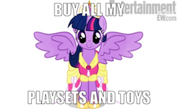 Size: 632x393 | Tagged: safe, derpibooru import, twilight sparkle, twilight sparkle (alicorn), alicorn, pony, alicorn drama, buy our toys, cheat commandos, homestar runner