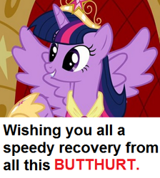 Size: 310x346 | Tagged: safe, derpibooru import, twilight sparkle, twilight sparkle (alicorn), alicorn, pony, alicorn drama, female, image macro, mare