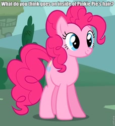 Size: 566x621 | Tagged: safe, pinkie pie, earth pony, pony, hair, image macro, meta, question, roflbot