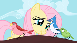 Size: 1024x576 | Tagged: safe, screencap, fluttershy, pegasus, pony, female, mare, pink mane, scrunchy face, yellow coat