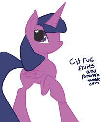 Size: 1000x1200 | Tagged: safe, artist:citrusfruitsandparanoia, derpibooru import, twilight sparkle, twilight sparkle (alicorn), alicorn, pony, 30 minute art challenge, female, mare