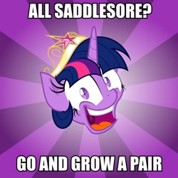 Size: 600x600 | Tagged: safe, derpibooru import, twilight sparkle, twilight sparkle (alicorn), alicorn, pony, advice meme, advice twilicorn, female, mare, meme