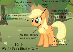 Size: 1000x720 | Tagged: safe, edit, applejack, earth pony, pony, 10/10, analysis, image macro, vulgar